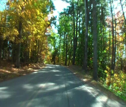 Autumn drive 2 Stock Footage 565050