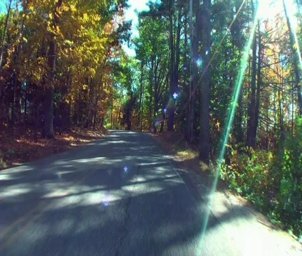 Autumn drive 3 Stock Footage 565045
