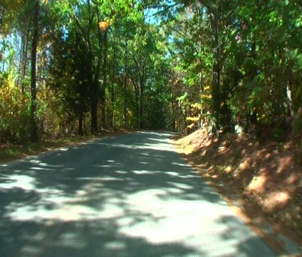 Autumn drive 5 Stock Footage 563882