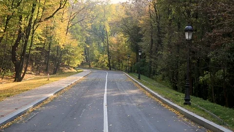 Autumn Drive On red Leaf Paved Forest Road Vidéo 93449994