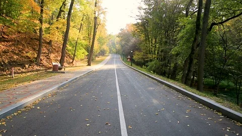 Autumn Drive On red Leaf Paved Forest Road 動画素材 93450048