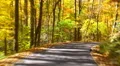 autumn drive time lapse 02 HD Footage