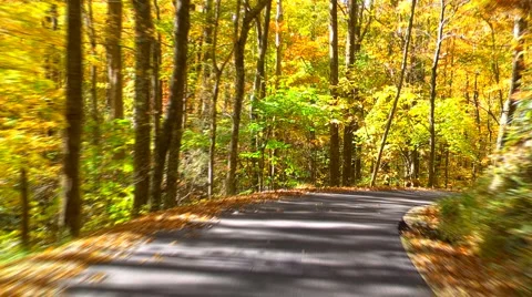 Autumn drive time lapse 02 Stock Footage