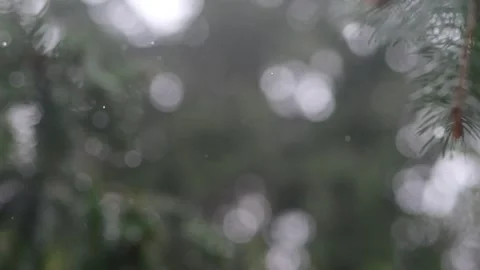 Autumn drizzle captured; raindrops drop in slow-mo, sharpening against out-.. Stock Footage 255365185