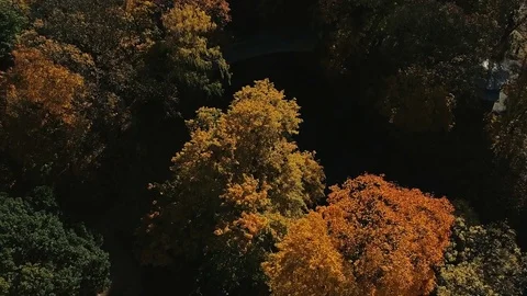 Autumn Drone City Stock Footage 82048136