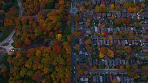 Autumn Drone Flight 4K Over Cars Road in Toronto, Canada Stock Footage 254384352