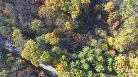 Autumn Drone 库存影片 74038923