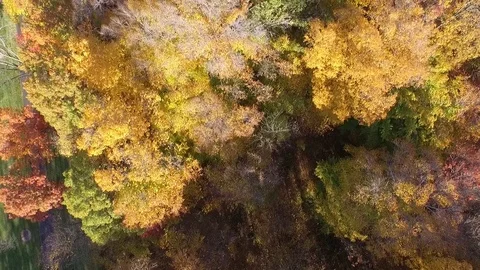 Autumn Drone 库存影片 74041658