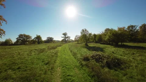 Autumn drone Stock Footage 292307048
