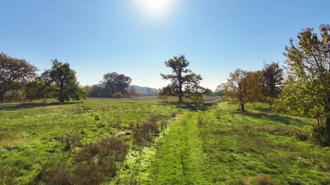 Autumn drone Stock Footage 292307092