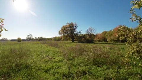 Autumn drone Stock Footage 292307160