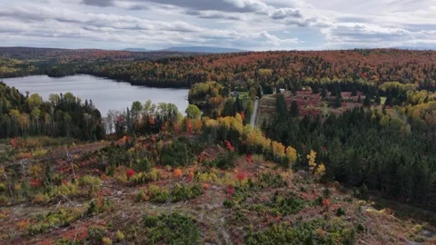Autumn drone view over a small estate in the boreal forest Stock Footage 346889931