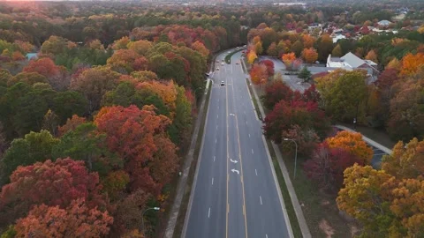 Autumn drone view of road through colorful forest. Stock Footage 321518440