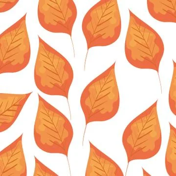 Autumn dry leafs nature pattern Stock Illustration