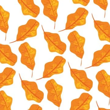 Autumn dry leafs nature pattern Stock Illustration