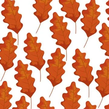 Autumn dry leafs nature pattern Stock Illustration