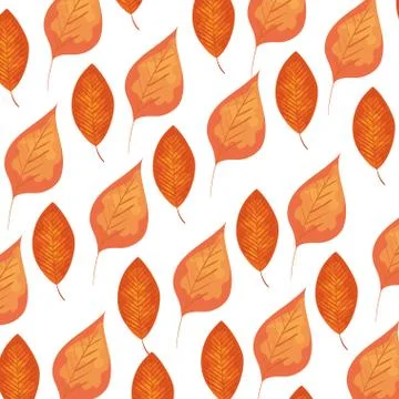 Autumn dry leafs nature pattern Stock Illustration