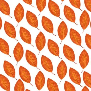 Autumn dry leafs nature pattern 스톡 일러스트