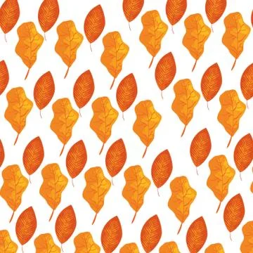 Autumn dry leafs nature pattern 스톡 일러스트