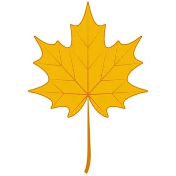 Autumn dry maple leaf, symbol Canada maple autumn fallen leaf Stockillustratie