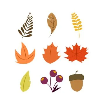 Autumn Dry Pack Vector Symbol Illustration Stock Illustration