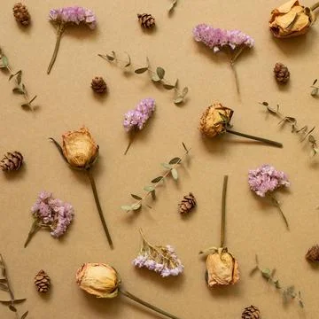 Autumn dry plant pattern background. Dry rose, statice flowers, eucalyptus... Stock Photos