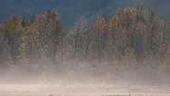 Autumn Dust Storm Windy Colors Stock Footage