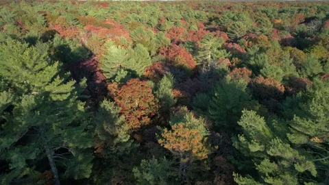 Autumn in East Hampton Drone 2 Stock Footage 220521673