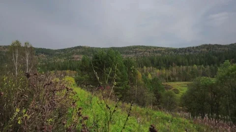Autumn in Eastern Sayan Stock Footage 81664013
