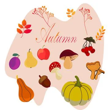 Autumn Element Doodle Vector Design.Autumn set. Stock Illustration
