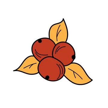 Autumn element - in simple style. Red berries and autumn leaves on white Stock Illustration