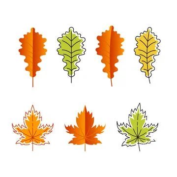 Autumn Element Vector icon design illustration Stock Illustration