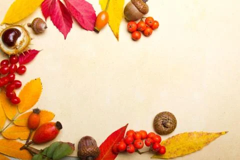 Autumn elements background with copy-space Stock Photos