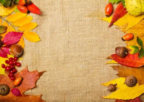 Autumn elements border Stock Photos