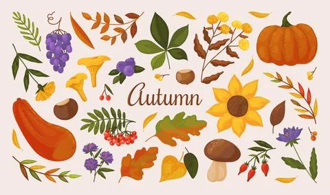 Autumn elements. Fall season leaf, mushroom and pumpkin, apple tree with nature Illustrazione stock