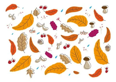 Autumn Elements Hand-drawing Vector Set イラスト素材