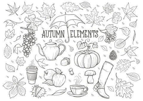 Autumn Elements Hand Drawn Illustration. イラスト素材
