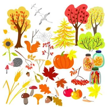 Autumn elements Stock Illustration