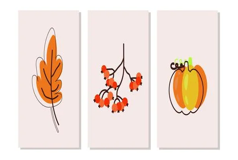 Autumn elements pumpkin leaf rowan, line art Stock Illustration