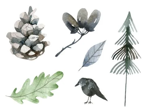 Autumn elements set. cone, Raven, acorn, oak, leaves, fir tree, coniferous Illustrazione stock