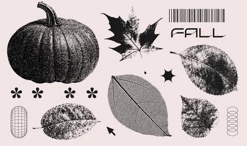 Autumn elements set with pumpkin, herbarium leaves with grainy photocopy effect Stock Illustration