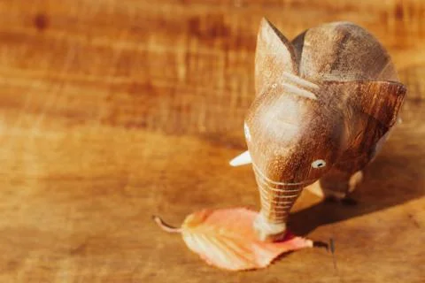 Autumn elephant Stock Photos