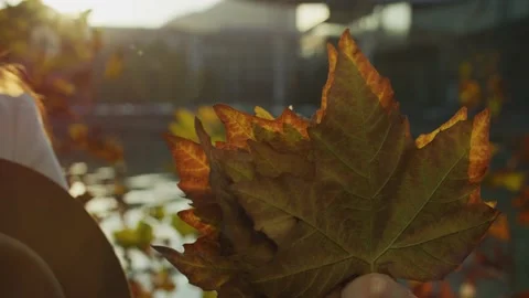 Autumn emotions Stock Footage 138140673