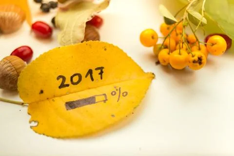 Autumn emotions Stock Photos