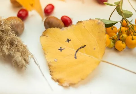 Autumn emotions Stock Photos