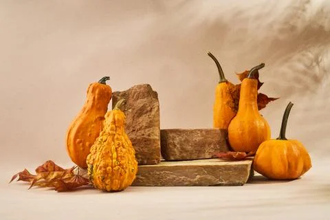 Autumn empty podium with decorative pumpkins Stock Photos