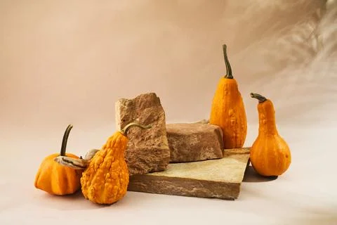 Autumn empty podium with decorative pumpkins Foto stock