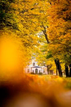 An Autumn Environment Stock Photos