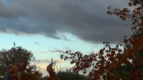 Autumn evening Stock Footage