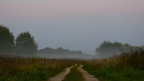 Autumn evening Stock Footage 115985854